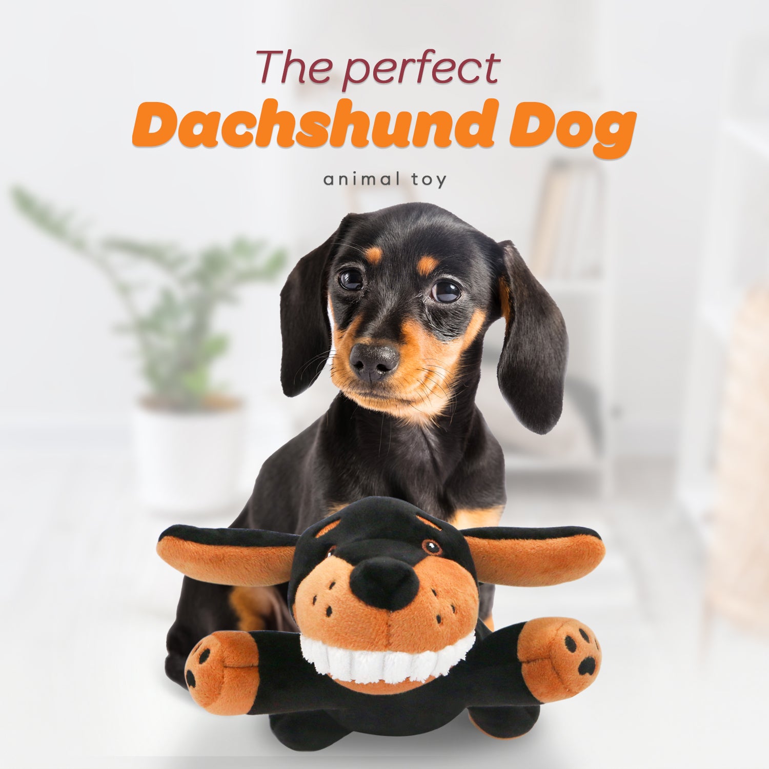 Dachshund puppy toys best sale