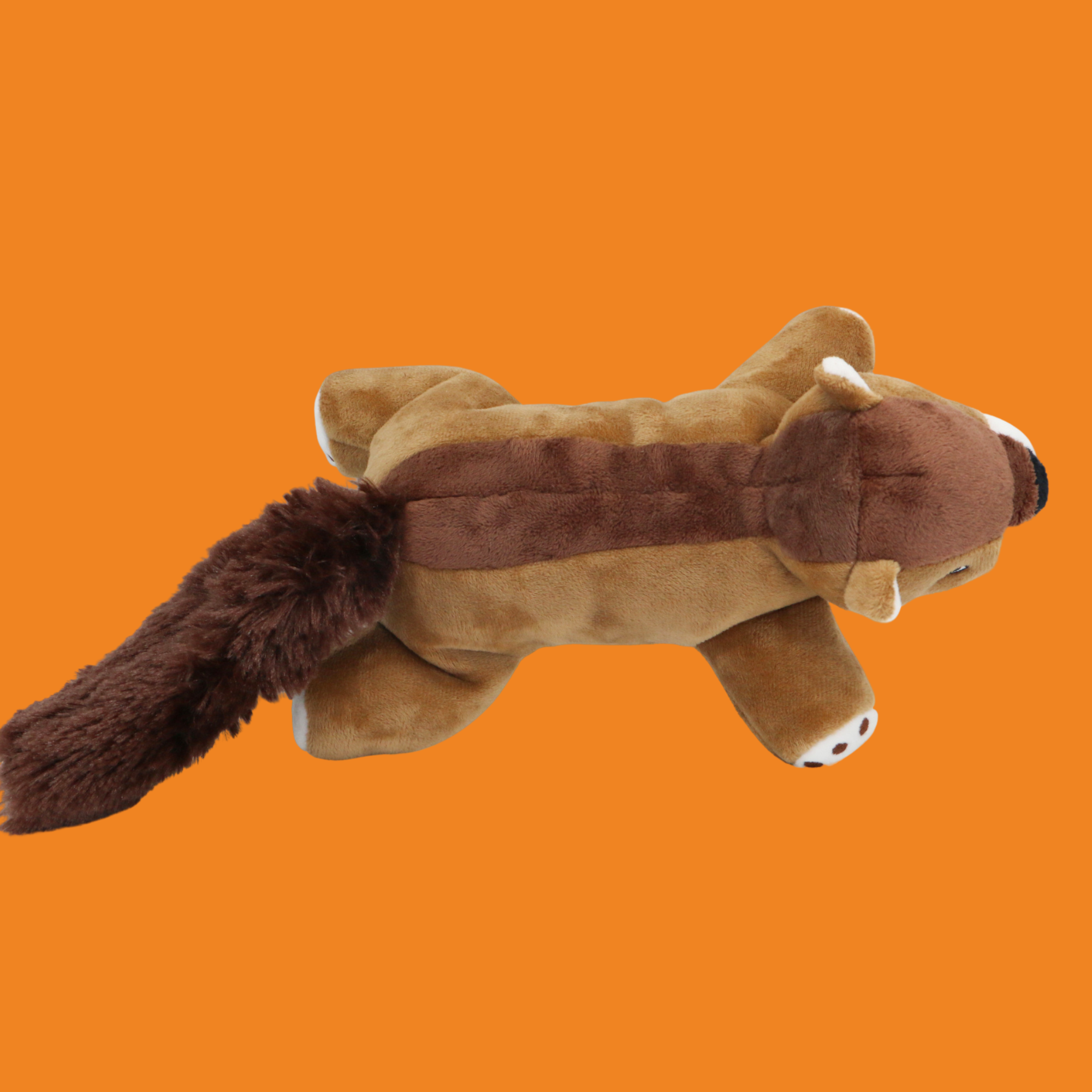 Gary - Surprised Squirrel - Stuffed Animal Dog Toy