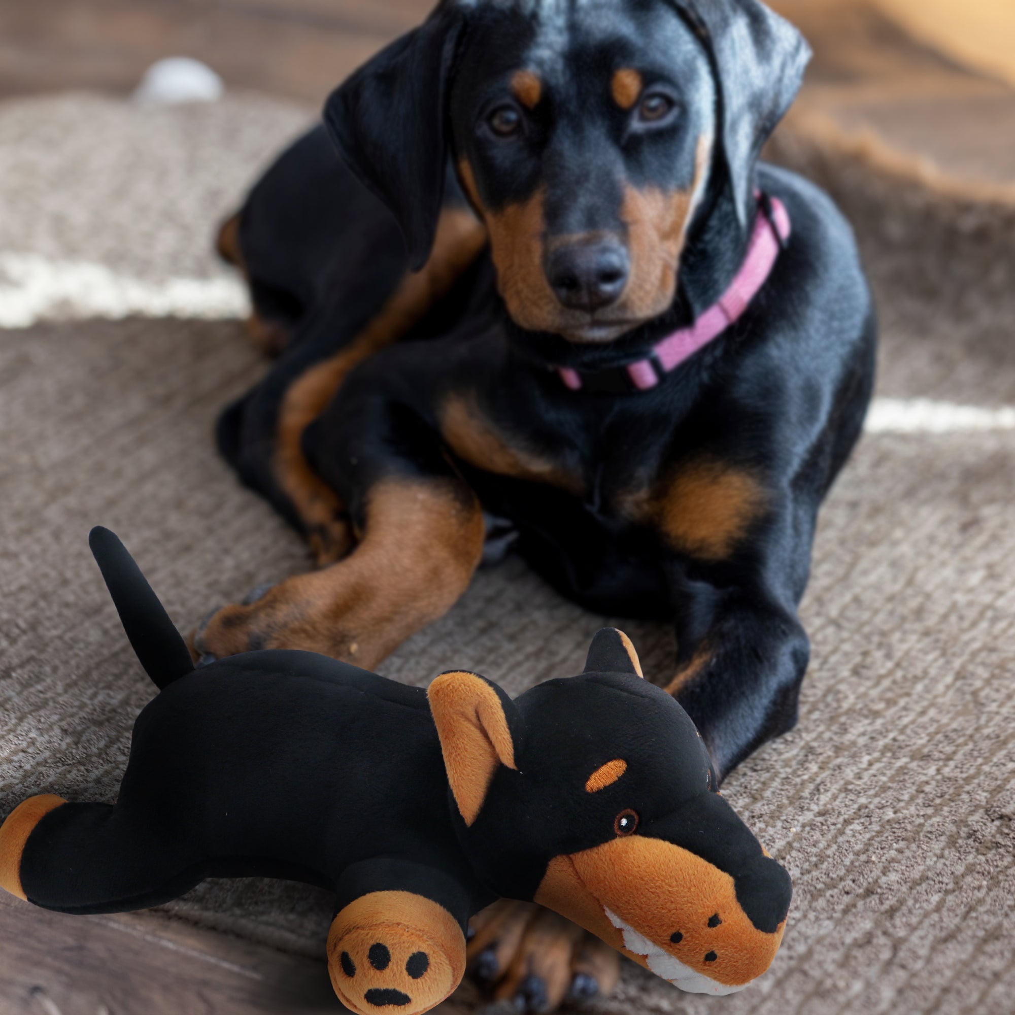 Archer - Black and Tan Dog Stuffed Animal Dog Toy - Pointed Ears