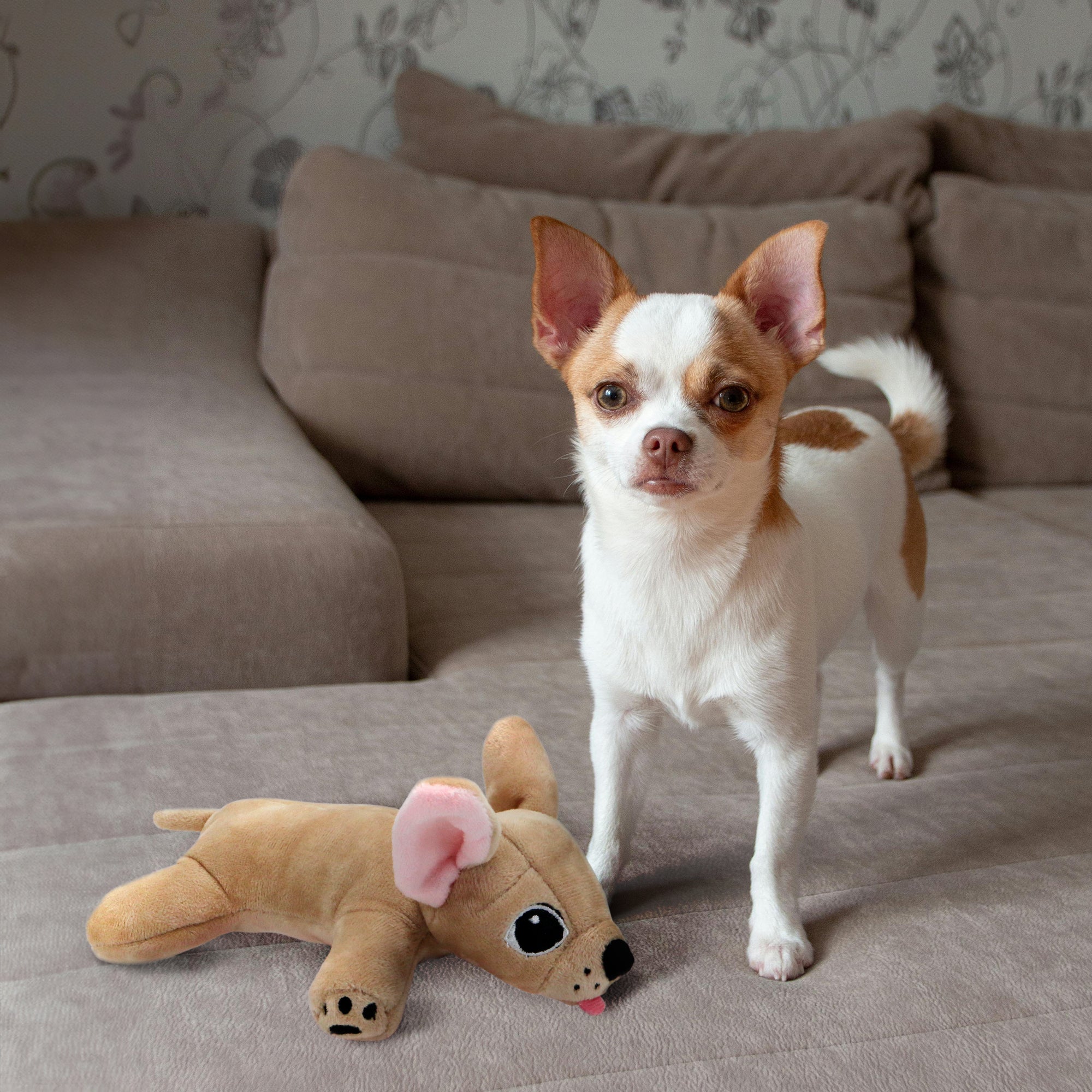 Poquito - Chihuahua Stuffed Animal Dog Toy