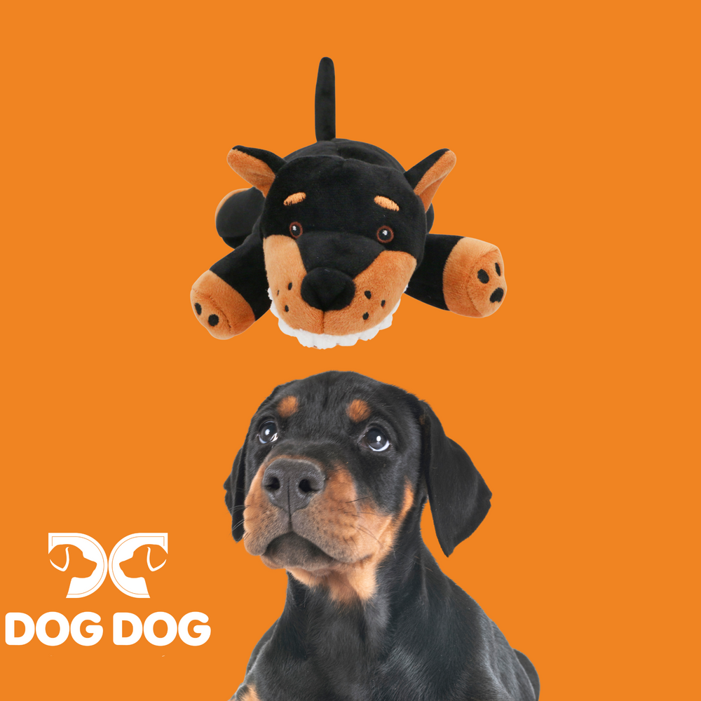 doberman puppy with dog toy