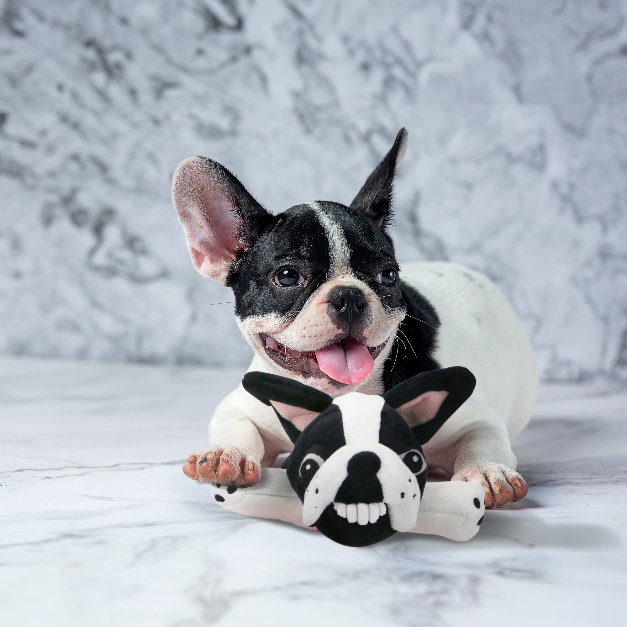 Pepper - Boston Terrier Stuffed Animal Dog Toy- Black and White Coloring