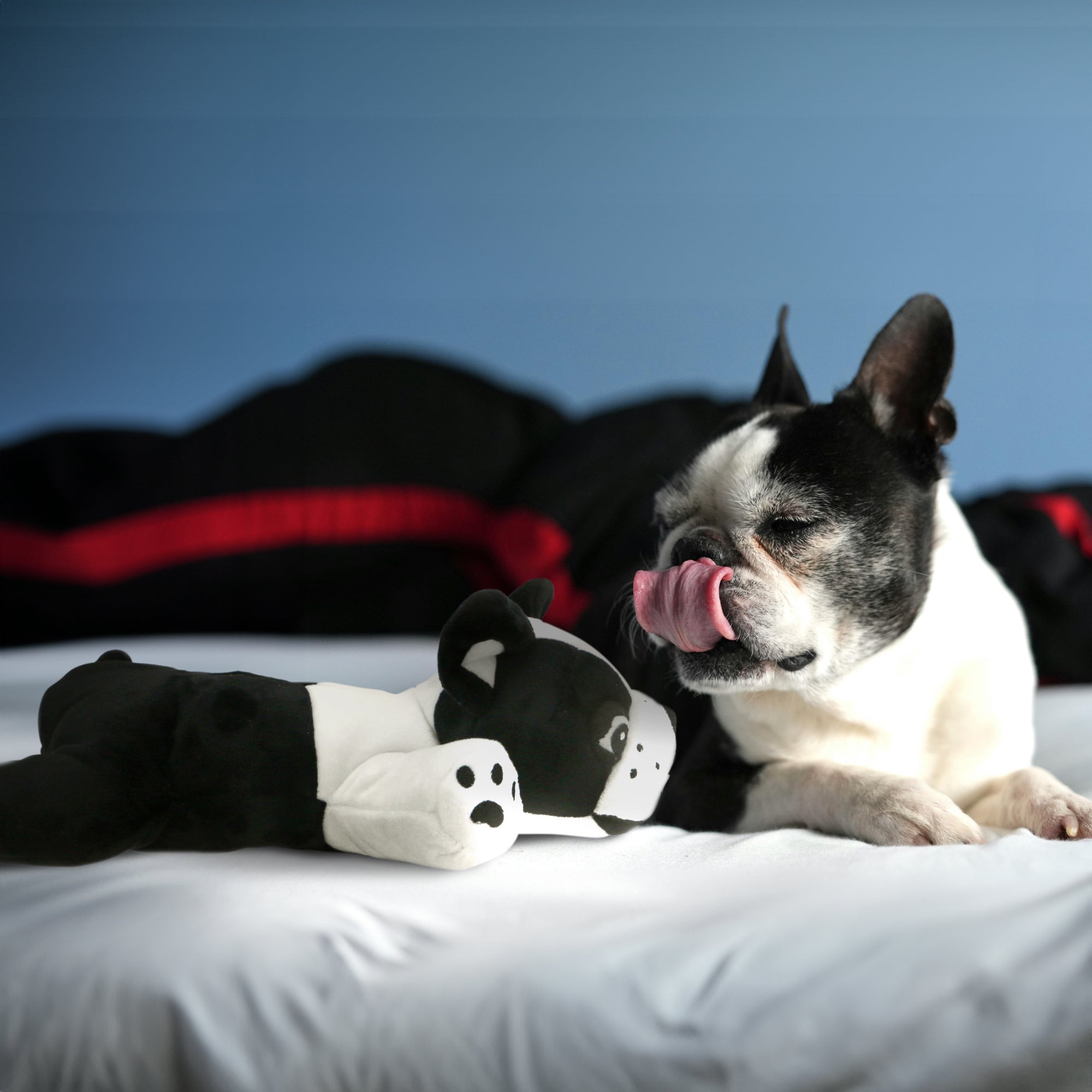 Pepper - Boston Terrier Stuffed Animal Dog Toy- Black and White Coloring